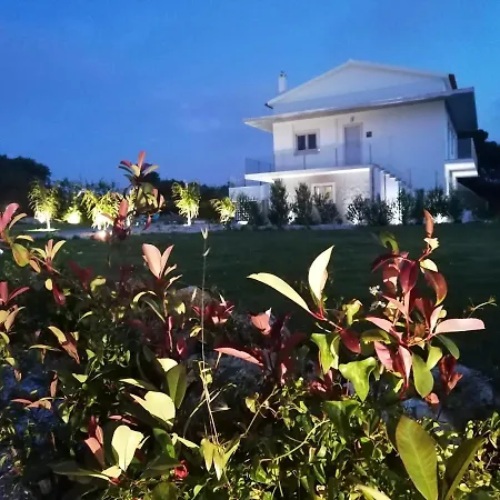 Pérola D'óbidos T1 Óbidos