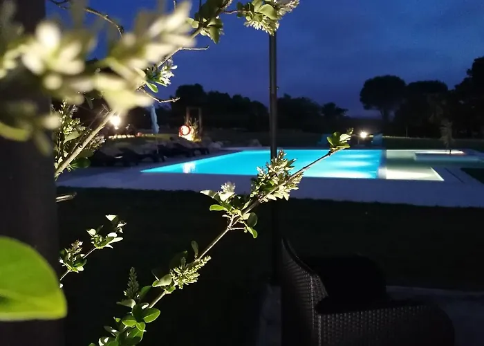 Pérola D'óbidos T1